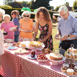Photo of a community picnic, outdoors with lots of people.